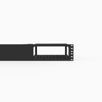 Wiim Amp/Amp Pro Rack Mount - 2U (Modular)