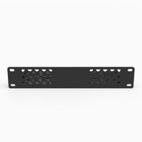 Front angle of the dual 2.5 inch SSD mini rack mount